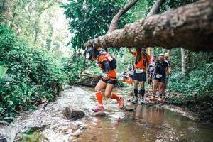 BIB: 
                            <button type="button" onclick="openModal(25372942)" class="btn btn-primary btn-sm float-right btn-popup" data-toggle="modal" data-target=".modal-high-quality">
                        <i class="fas fa-shopping-cart"></i> Add to Cart
                    </button>
                                            <button type="button" onclick="isThisMe(25372942, true)" class="btn btn-success btn-sm float-right btn-popup btn-isme hidden" data-toggle="tooltip" data-placement="bottom" title="นี่คือรูปของคุณใช่ไหม คลิกที่นี่เพื่อเอาเข้าอัลบั้ม">
                        <i class="fas fa-plus"></i> Add to album
                    </button>
                    <button type="button" onclick="isThisMe(25372942, false)" class="btn btn-warning btn-sm float-right btn-popup btn-isnotme hidden">
                        <i class="fas fa-ban"></i> Remove from album
                    </button>